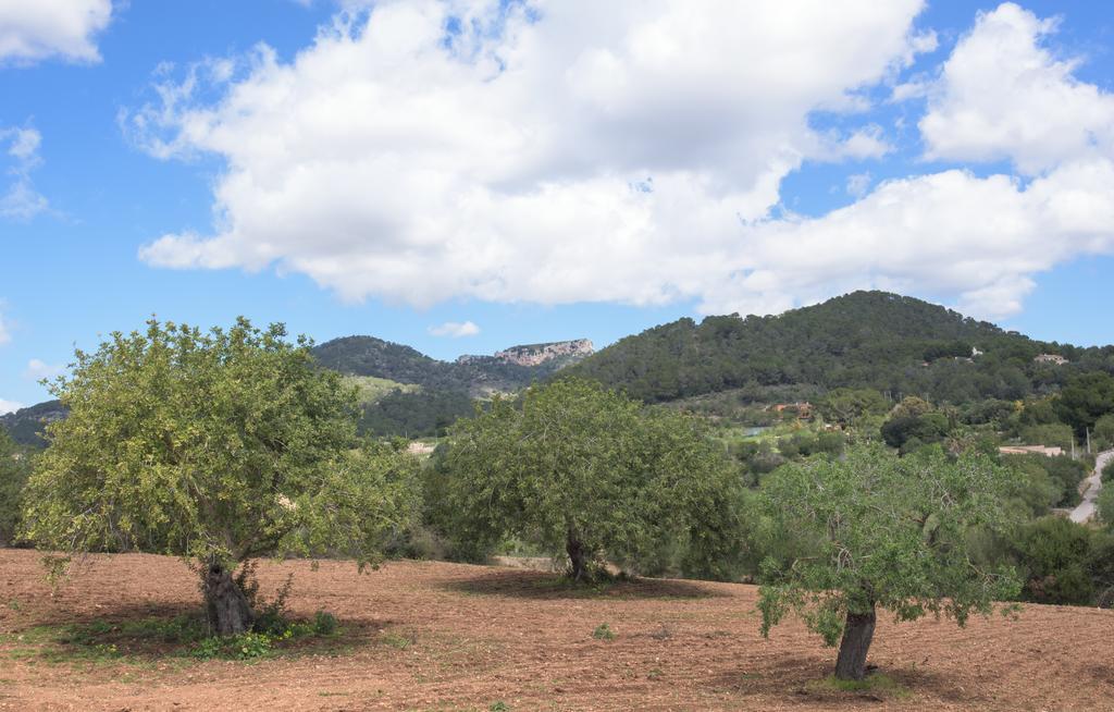 Finca Batlet S'Horta Exterior foto